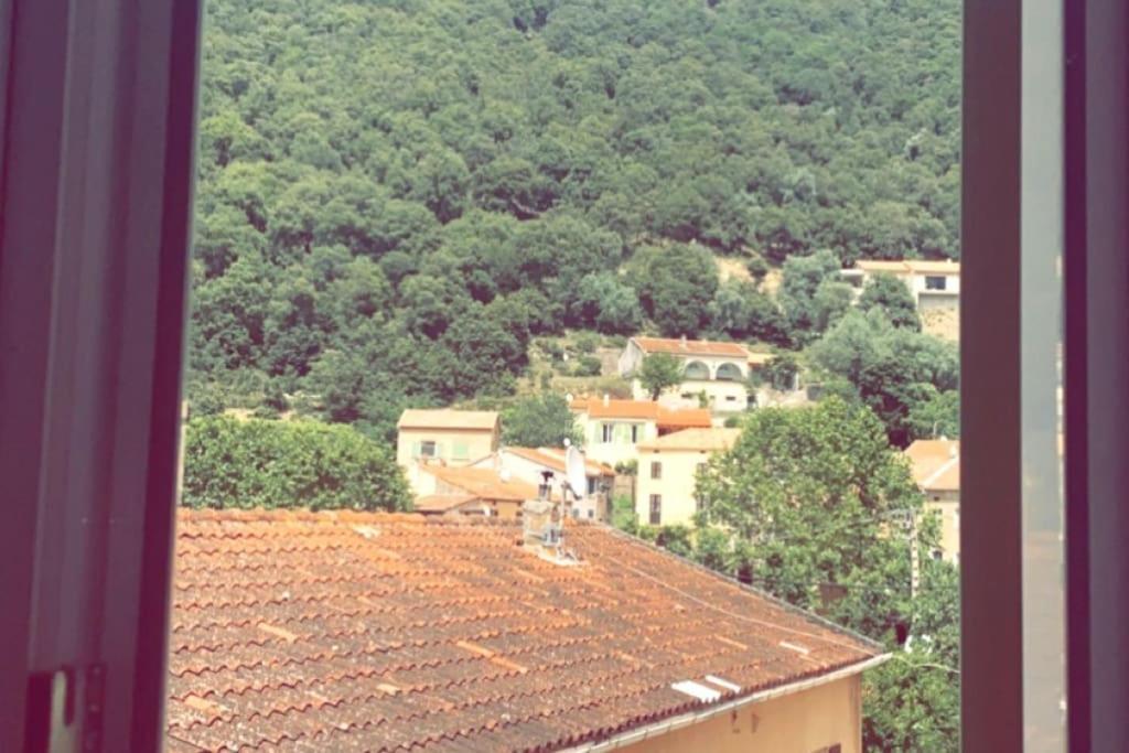 Appartement T2 Chez Thomas Et Nas Omessa Kültér fotó